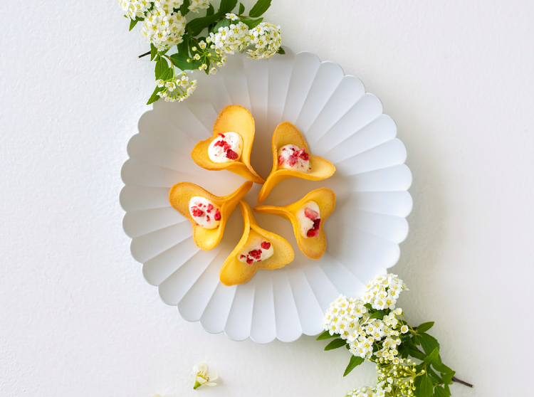 Sweets Present Campaign　KINEEL公式LINEをお友達に追加で5名様にプレゼント　ご応募はこちらから
